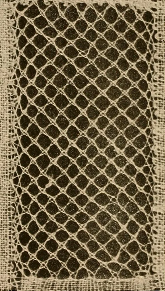 An illustration from A lace guide for makers and collectors; with a bibliography and five-language nomenclature, profusely illus. with halftone plates and key designs, 1920, leaf 117