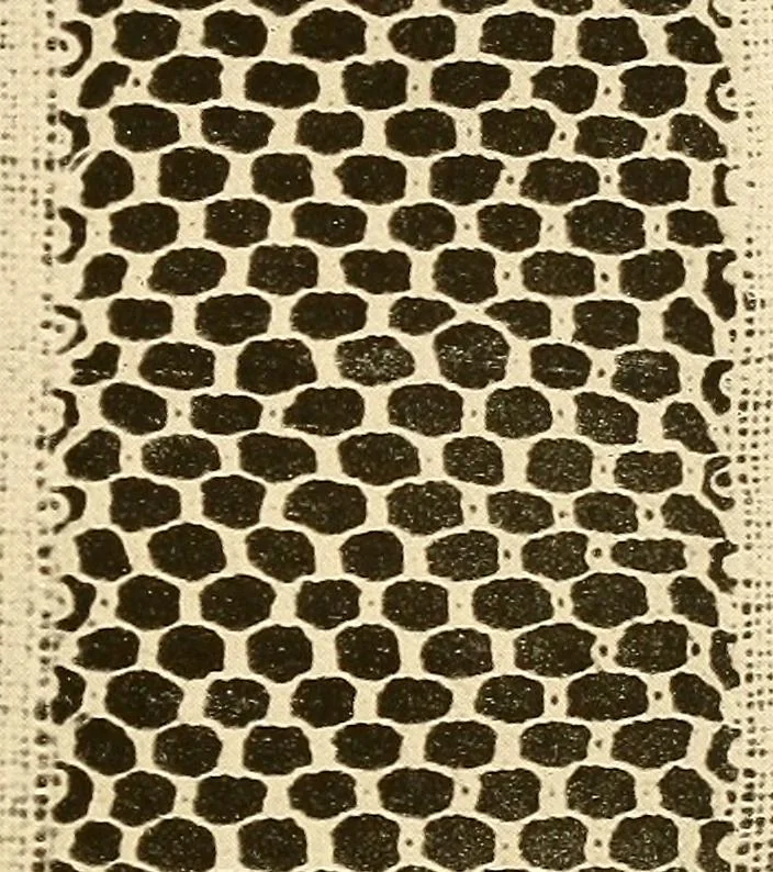 An illustration from A lace guide for makers and collectors; with a bibliography and five-language nomenclature, profusely illus. with halftone plates and key designs, 1920, leaf 120