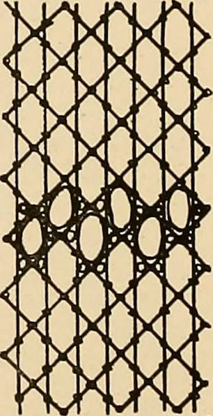 An illustration from A lace guide for makers and collectors; with a bibliography and five-language nomenclature, profusely illus. with halftone plates and key designs, 1920, leaf 121