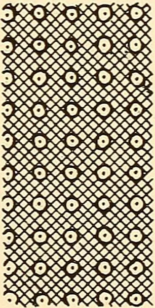 An illustration from A lace guide for makers and collectors; with a bibliography and five-language nomenclature, profusely illus. with halftone plates and key designs, 1920, leaf 134