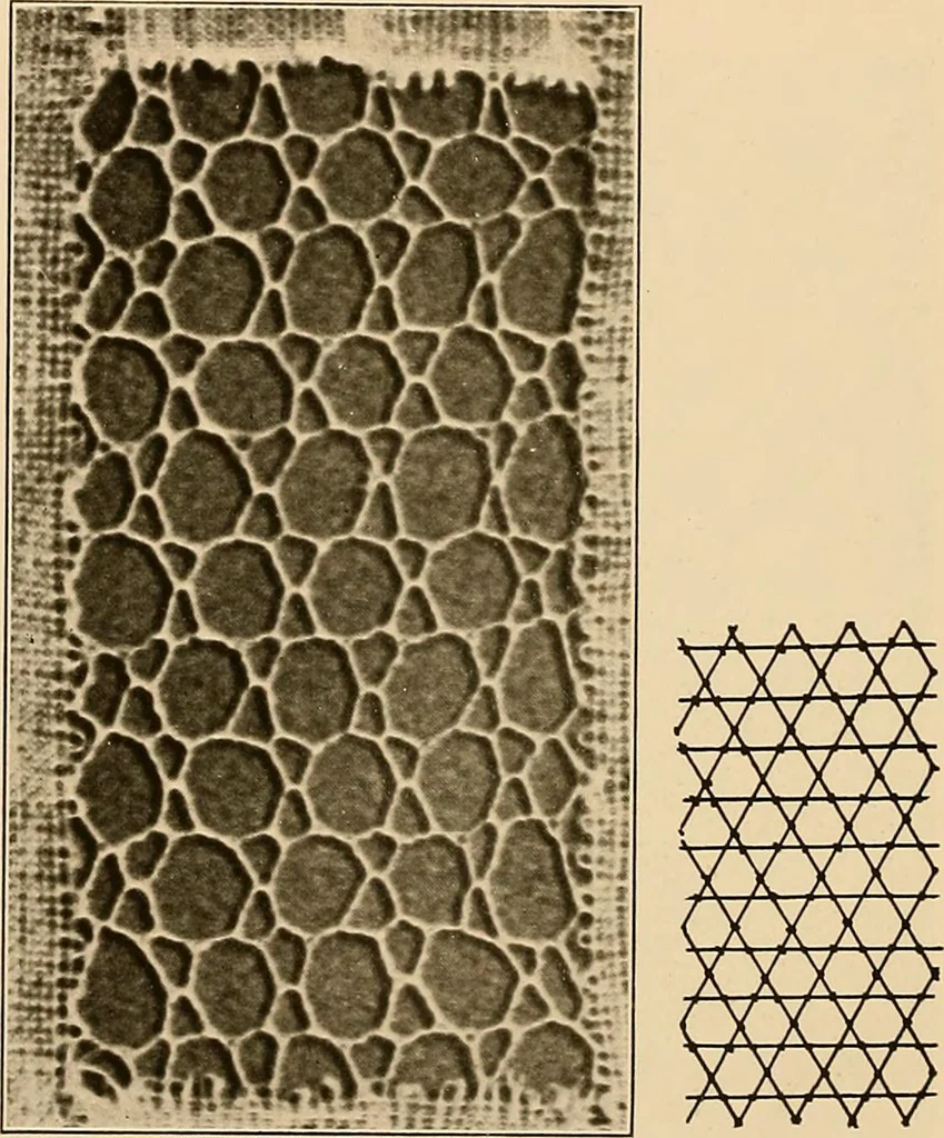 An illustration from A lace guide for makers and collectors; with a bibliography and five-language nomenclature, profusely illus. with halftone plates and key designs, 1920, leaf 135