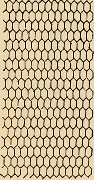 An illustration from A lace guide for makers and collectors; with a bibliography and five-language nomenclature, profusely illus. with halftone plates and key designs, 1920, leaf 139