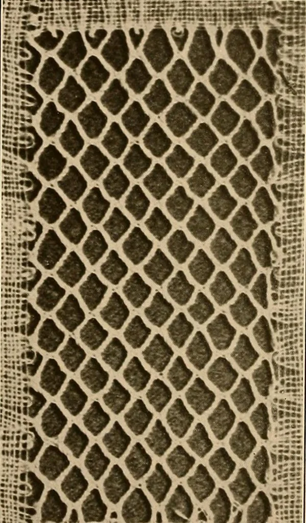 An illustration from A lace guide for makers and collectors; with a bibliography and five-language nomenclature, profusely illus. with halftone plates and key designs, 1920, leaf 143
