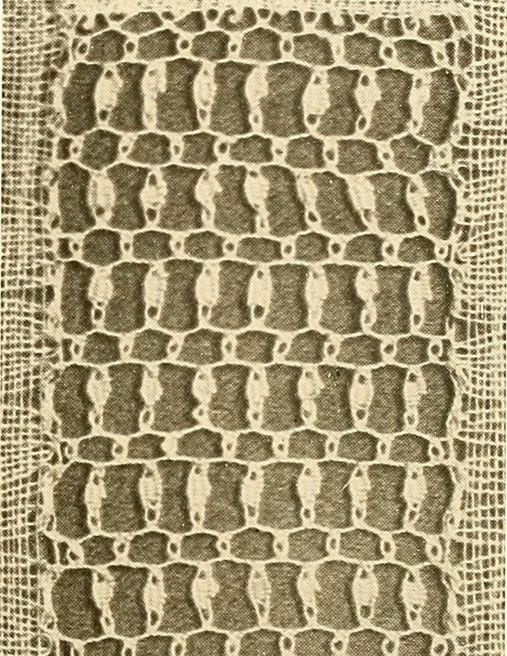 An illustration from A lace guide for makers and collectors; with a bibliography and five-language nomenclature, profusely illus. with halftone plates and key designs, 1920, leaf 144