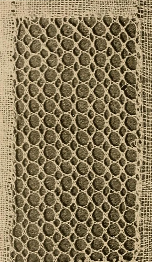 An illustration from A lace guide for makers and collectors; with a bibliography and five-language nomenclature, profusely illus. with halftone plates and key designs, 1920, leaf 145