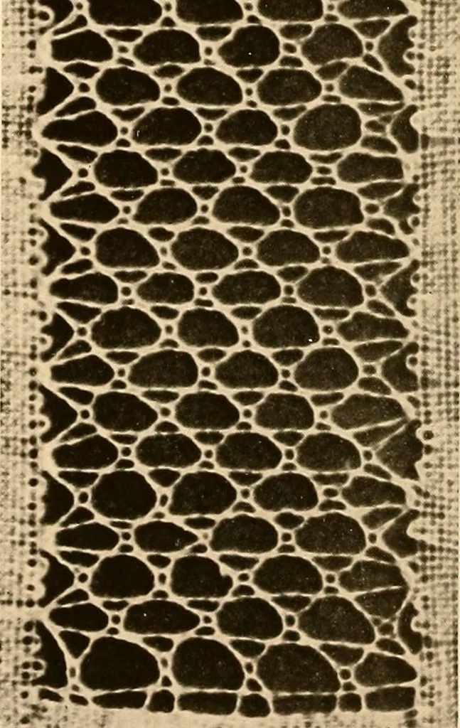 An illustration from A lace guide for makers and collectors; with a bibliography and five-language nomenclature, profusely illus. with halftone plates and key designs, 1920, leaf 147