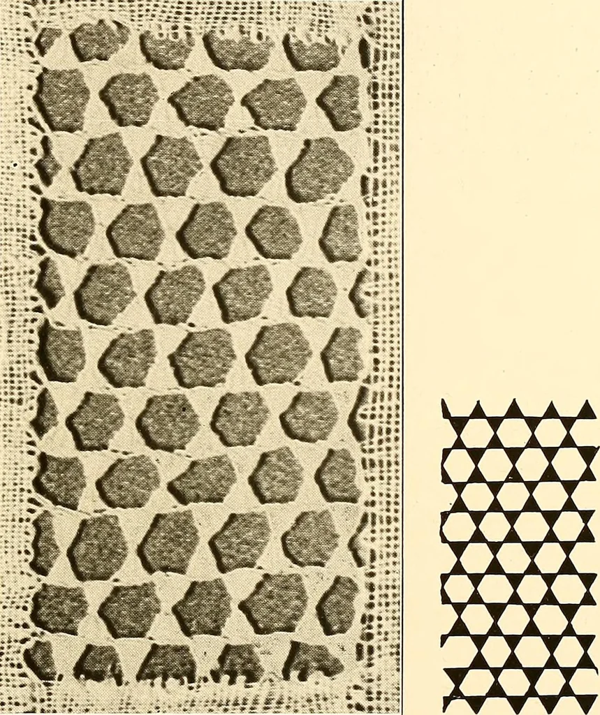 An illustration from A lace guide for makers and collectors; with a bibliography and five-language nomenclature, profusely illus. with halftone plates and key designs, 1920, leaf 156