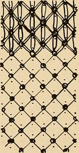An illustration from A lace guide for makers and collectors; with a bibliography and five-language nomenclature, profusely illus. with halftone plates and key designs, 1920, leaf 159