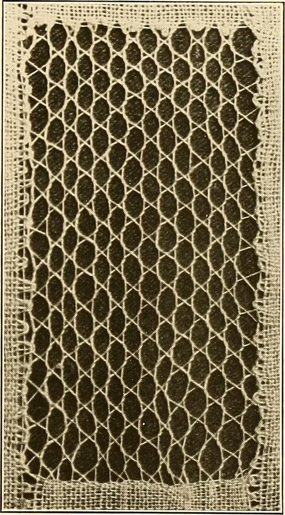 An illustration from A lace guide for makers and collectors; with a bibliography and five-language nomenclature, profusely illus. with halftone plates and key designs, 1920, leaf 160