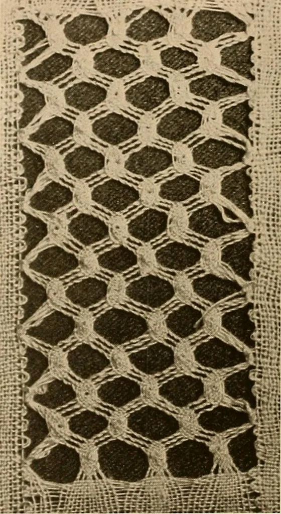 An illustration from A lace guide for makers and collectors; with a bibliography and five-language nomenclature, profusely illus. with halftone plates and key designs, 1920, leaf 161
