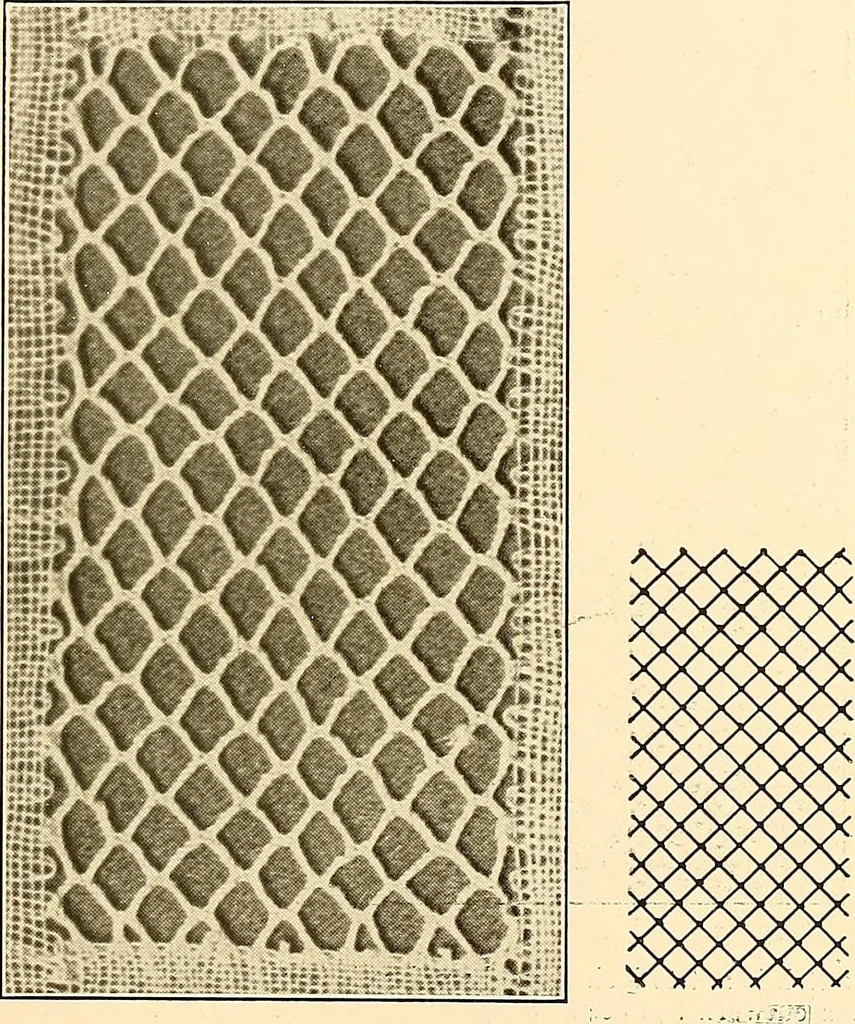 An illustration from A lace guide for makers and collectors; with a bibliography and five-language nomenclature, profusely illus. with halftone plates and key designs, 1920, leaf 164