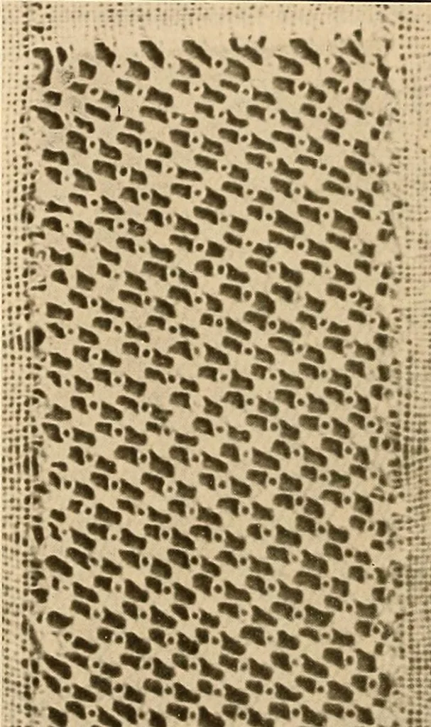 An illustration from A lace guide for makers and collectors; with a bibliography and five-language nomenclature, profusely illus. with halftone plates and key designs, 1920, leaf 165