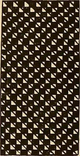 An illustration from A lace guide for makers and collectors; with a bibliography and five-language nomenclature, profusely illus. with halftone plates and key designs, 1920, leaf 165