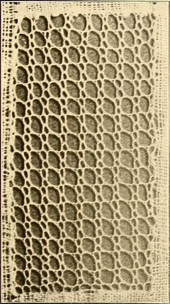 An illustration from A lace guide for makers and collectors; with a bibliography and five-language nomenclature, profusely illus. with halftone plates and key designs, 1920, leaf 166