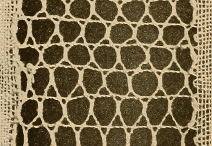 An illustration from A lace guide for makers and collectors; with a bibliography and five-language nomenclature, profusely illus. with halftone plates and key designs, 1920, leaf 169