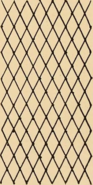 An illustration from A lace guide for makers and collectors; with a bibliography and five-language nomenclature, profusely illus. with halftone plates and key designs, 1920, leaf 169