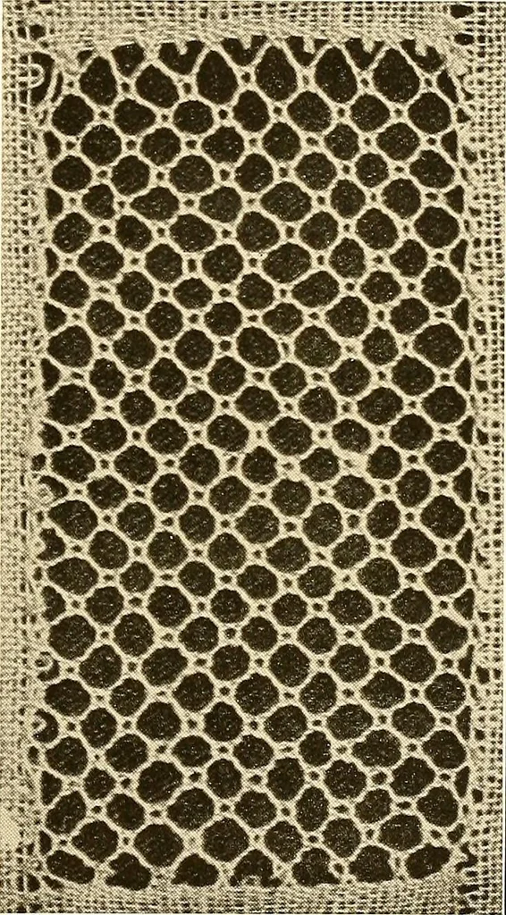 An illustration from A lace guide for makers and collectors; with a bibliography and five-language nomenclature, profusely illus. with halftone plates and key designs, 1920, leaf 180