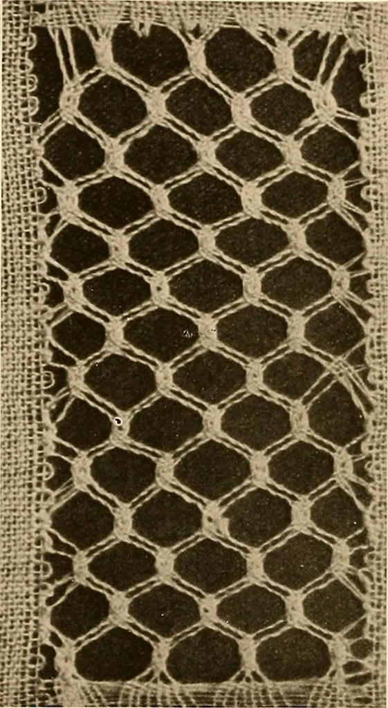 An illustration from A lace guide for makers and collectors; with a bibliography and five-language nomenclature, profusely illus. with halftone plates and key designs, 1920, leaf 181