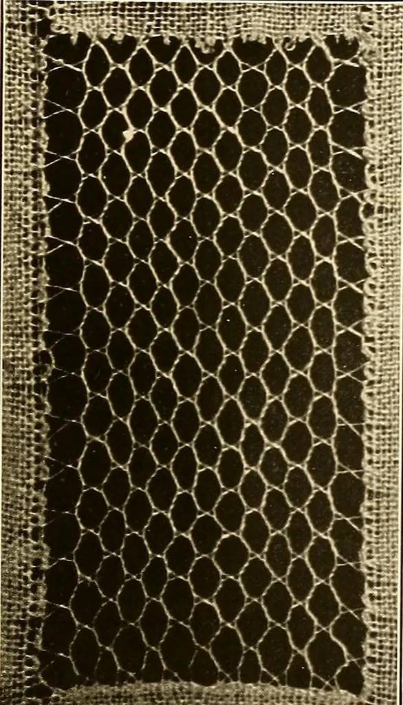 An illustration from A lace guide for makers and collectors; with a bibliography and five-language nomenclature, profusely illus. with halftone plates and key designs, 1920, leaf 182