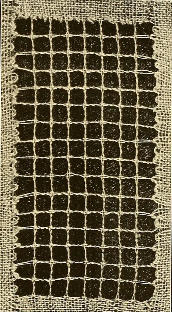 An illustration from A lace guide for makers and collectors; with a bibliography and five-language nomenclature, profusely illus. with halftone plates and key designs, 1920, leaf 184