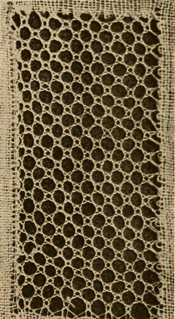 An illustration from A lace guide for makers and collectors; with a bibliography and five-language nomenclature, profusely illus. with halftone plates and key designs, 1920, leaf 185