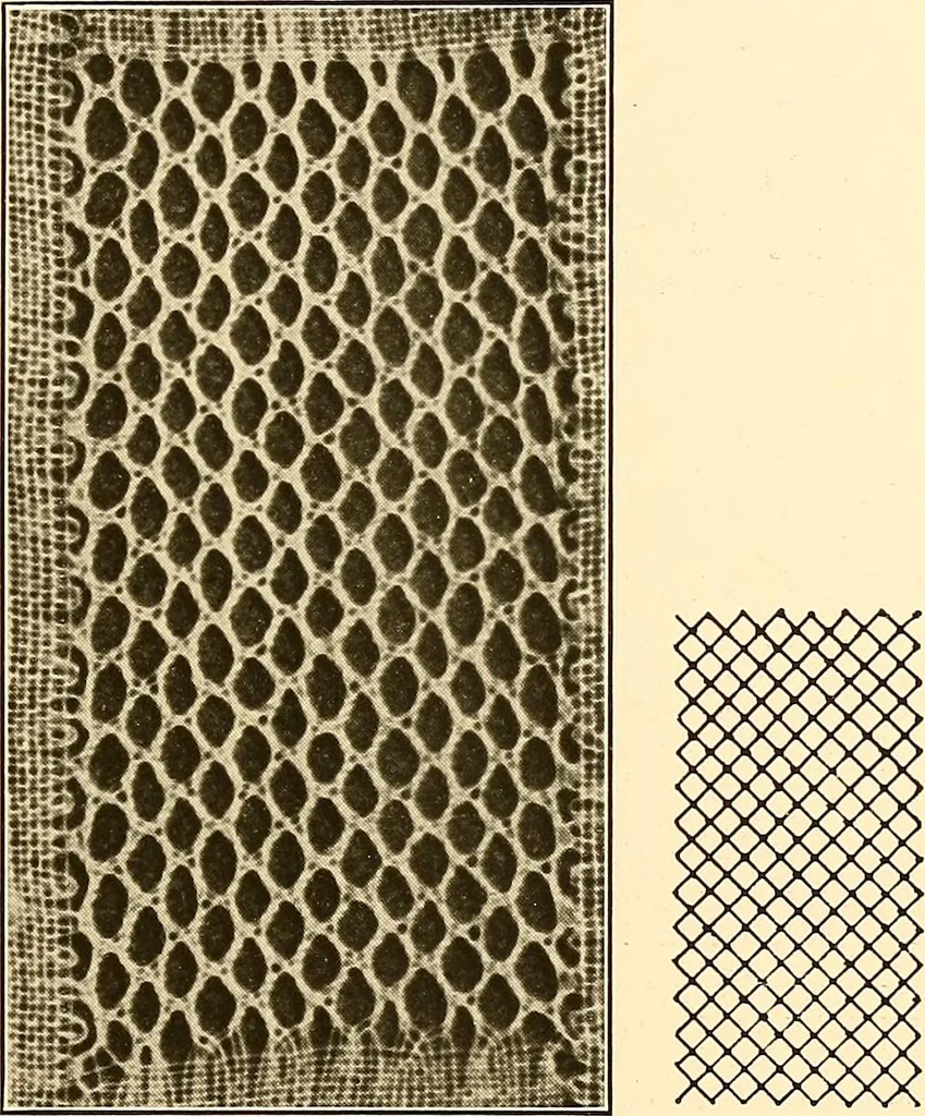 An illustration from A lace guide for makers and collectors; with a bibliography and five-language nomenclature, profusely illus. with halftone plates and key designs, 1920, leaf 186