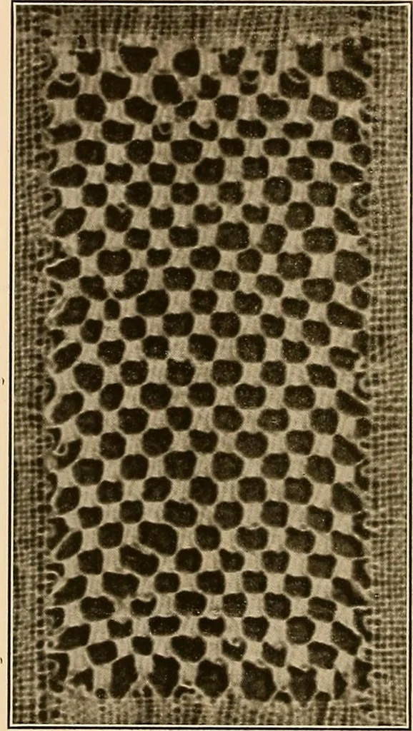 An illustration from A lace guide for makers and collectors; with a bibliography and five-language nomenclature, profusely illus. with halftone plates and key designs, 1920, leaf 187