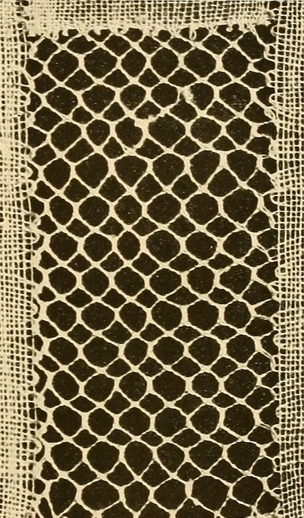 An illustration from A lace guide for makers and collectors; with a bibliography and five-language nomenclature, profusely illus. with halftone plates and key designs, 1920, leaf 192