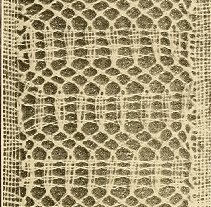 An illustration from A lace guide for makers and collectors; with a bibliography and five-language nomenclature, profusely illus. with halftone plates and key designs, 1920, leaf 198