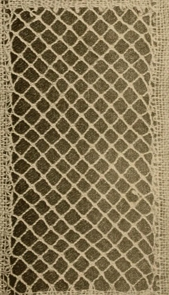 An illustration from A lace guide for makers and collectors; with a bibliography and five-language nomenclature, profusely illus. with halftone plates and key designs, 1920, leaf 201