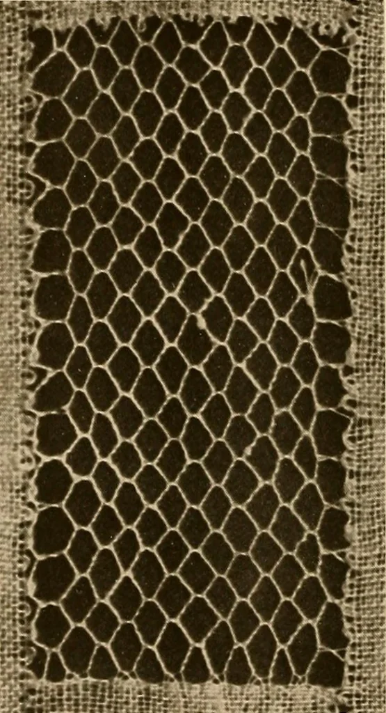 An illustration from A lace guide for makers and collectors; with a bibliography and five-language nomenclature, profusely illus. with halftone plates and key designs, 1920, leaf 203