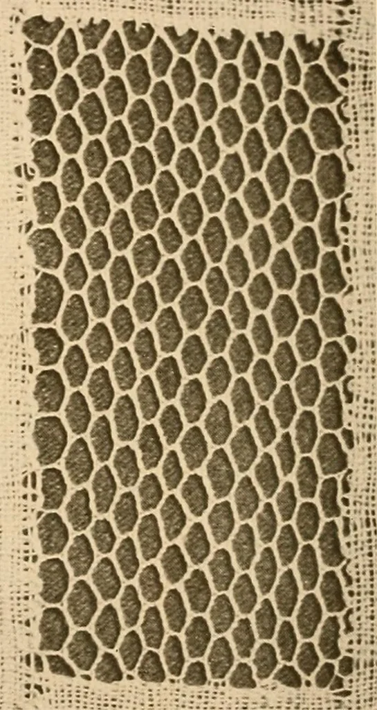 An illustration from A lace guide for makers and collectors; with a bibliography and five-language nomenclature, profusely illus. with halftone plates and key designs, 1920, leaf 207