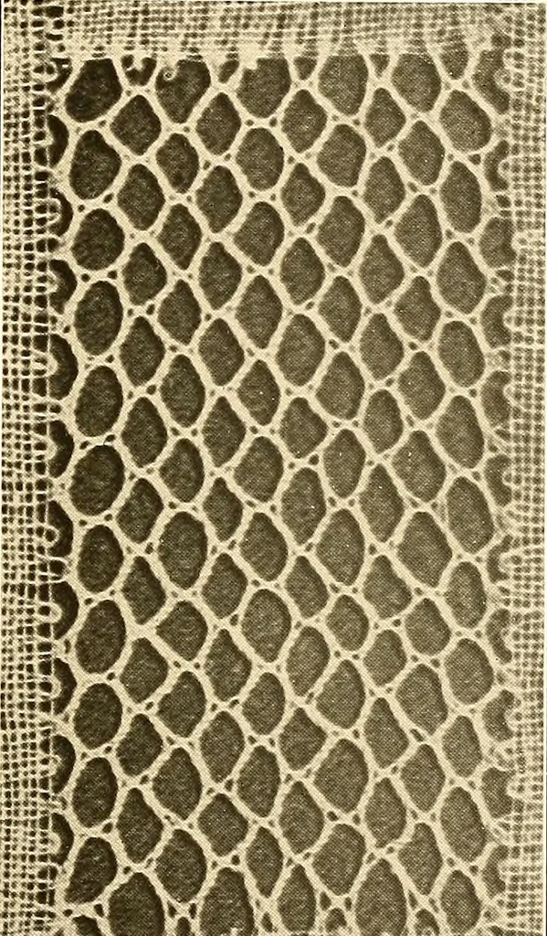 An illustration from A lace guide for makers and collectors; with a bibliography and five-language nomenclature, profusely illus. with halftone plates and key designs, 1920, leaf 208