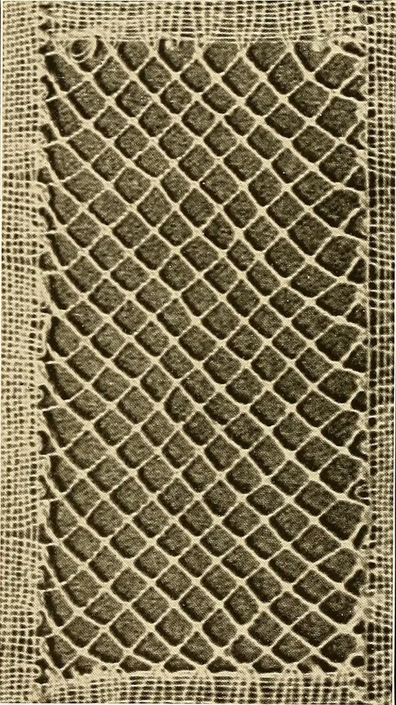 An illustration from A lace guide for makers and collectors; with a bibliography and five-language nomenclature, profusely illus. with halftone plates and key designs, 1920, leaf 210