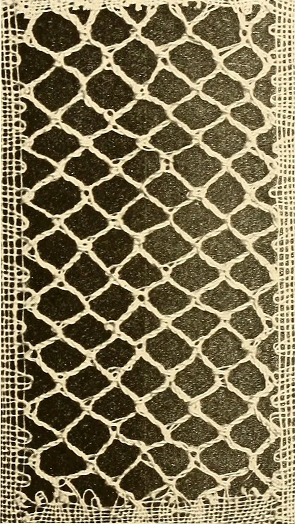 An illustration from A lace guide for makers and collectors; with a bibliography and five-language nomenclature, profusely illus. with halftone plates and key designs, 1920, leaf 214