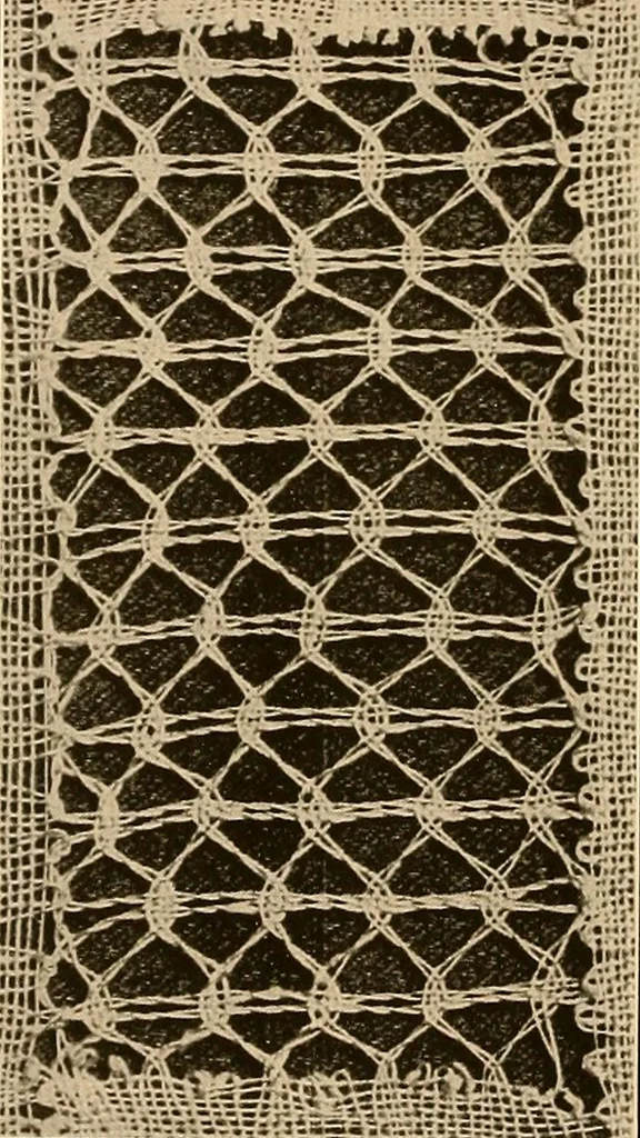 An illustration from A lace guide for makers and collectors; with a bibliography and five-language nomenclature, profusely illus. with halftone plates and key designs, 1920, leaf 215