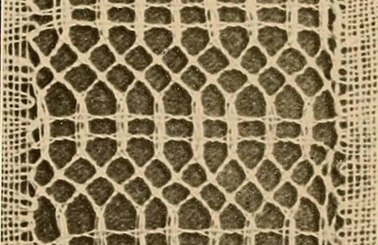 An illustration from A lace guide for makers and collectors; with a bibliography and five-language nomenclature, profusely illus. with halftone plates and key designs, 1920, leaf 217