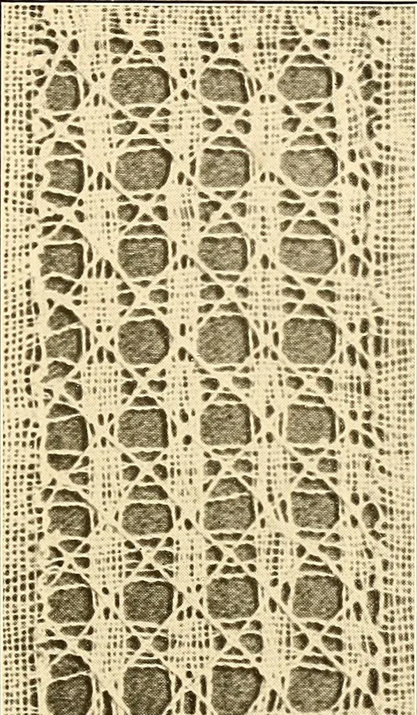 An illustration from A lace guide for makers and collectors; with a bibliography and five-language nomenclature, profusely illus. with halftone plates and key designs, 1920, leaf 218