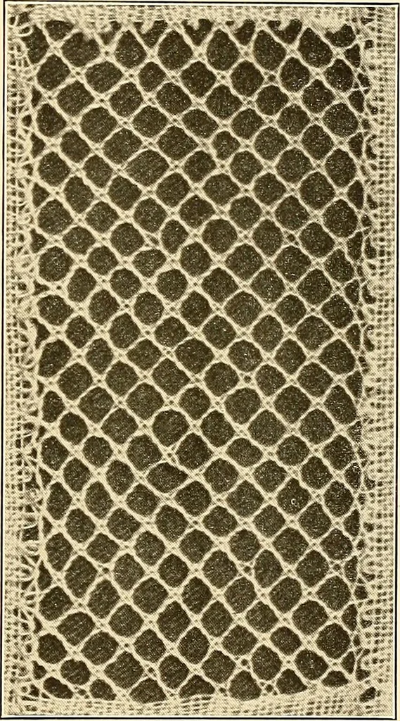 An illustration from A lace guide for makers and collectors; with a bibliography and five-language nomenclature, profusely illus. with halftone plates and key designs, 1920, leaf 222