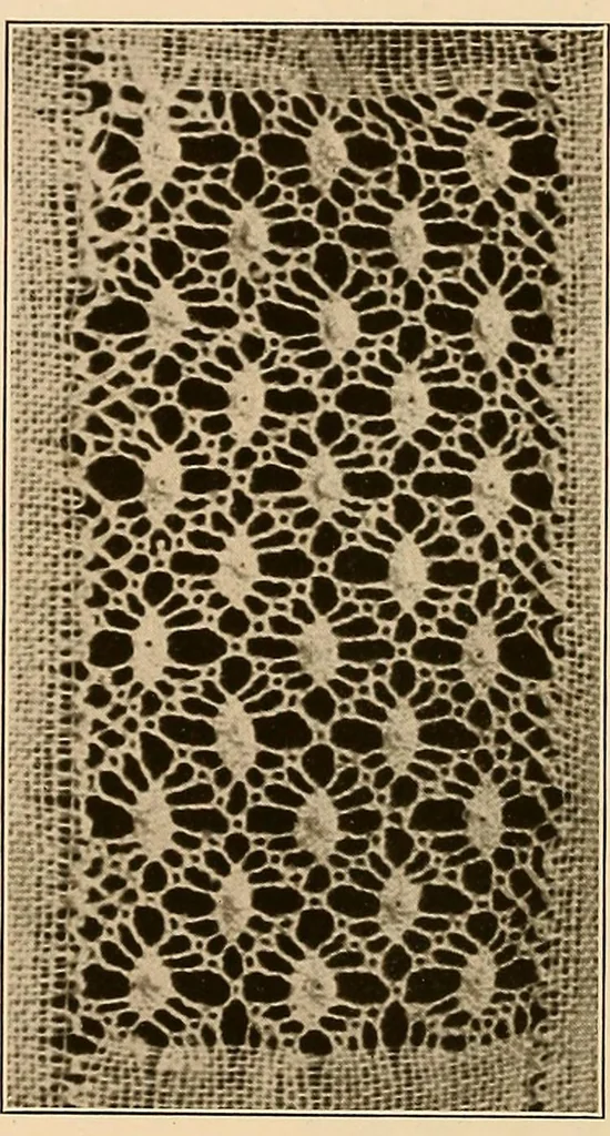 An illustration from A lace guide for makers and collectors; with a bibliography and five-language nomenclature, profusely illus. with halftone plates and key designs, 1920, leaf 223