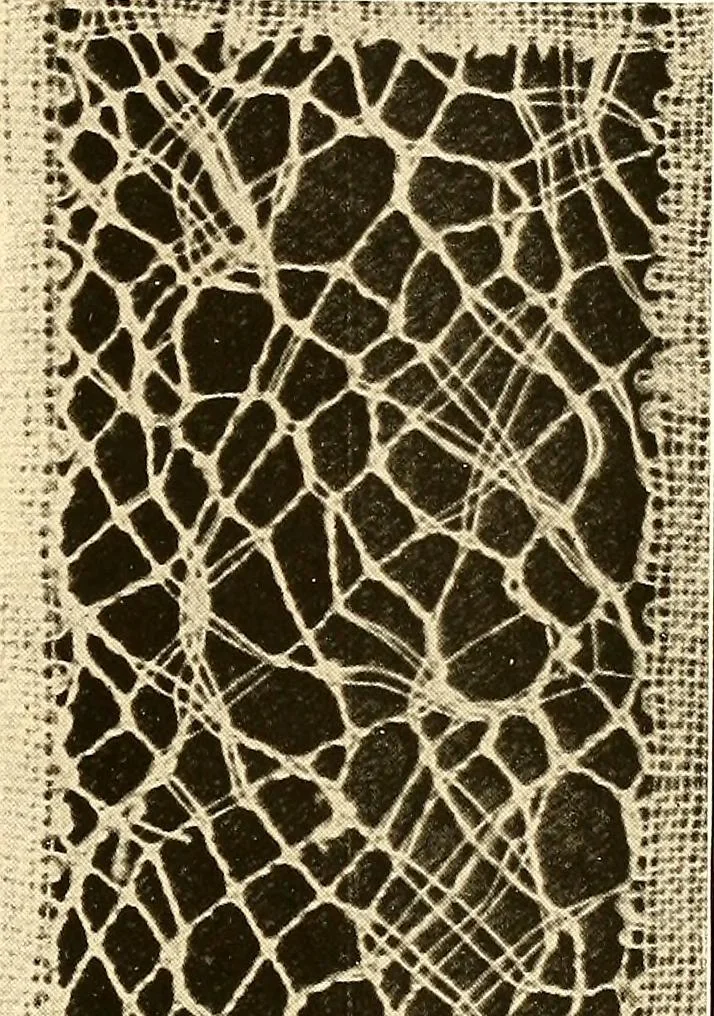 An illustration from A lace guide for makers and collectors; with a bibliography and five-language nomenclature, profusely illus. with halftone plates and key designs, 1920, leaf 224