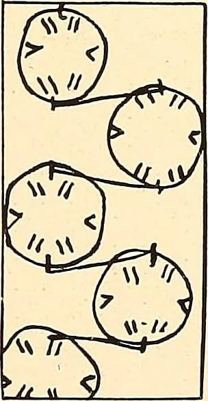 An illustration from A lace guide for makers and collectors; with a bibliography and five-language nomenclature, profusely illus. with halftone plates and key designs, 1920, leaf 224