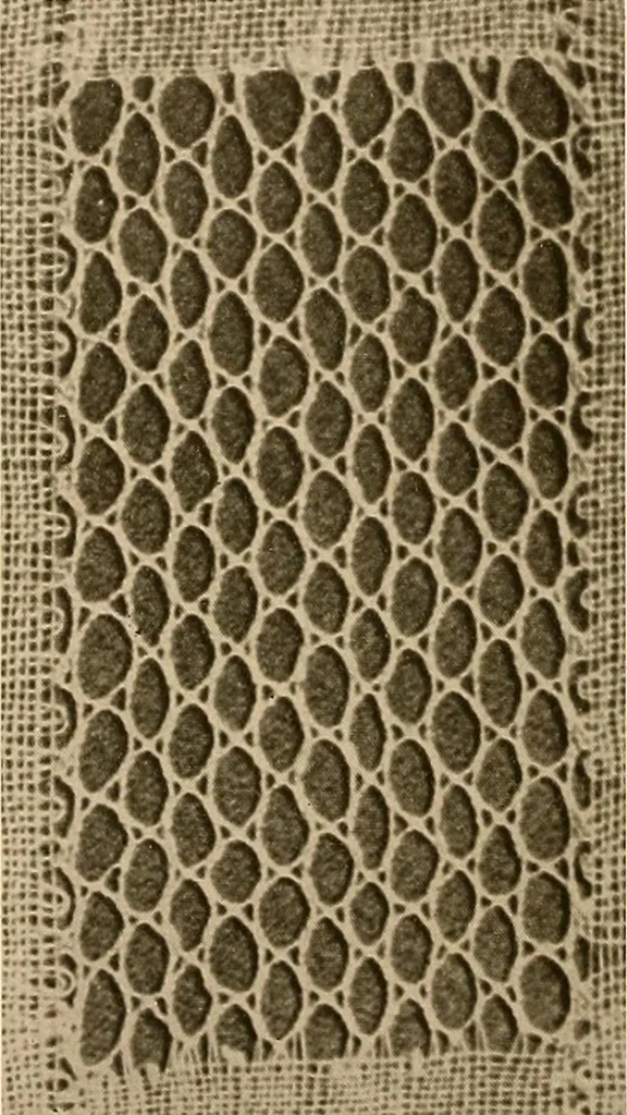 An illustration from A lace guide for makers and collectors; with a bibliography and five-language nomenclature, profusely illus. with halftone plates and key designs, 1920, leaf 229