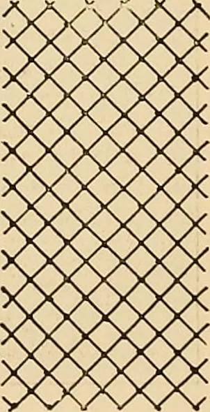 An illustration from A lace guide for makers and collectors; with a bibliography and five-language nomenclature, profusely illus. with halftone plates and key designs, 1920, leaf 229