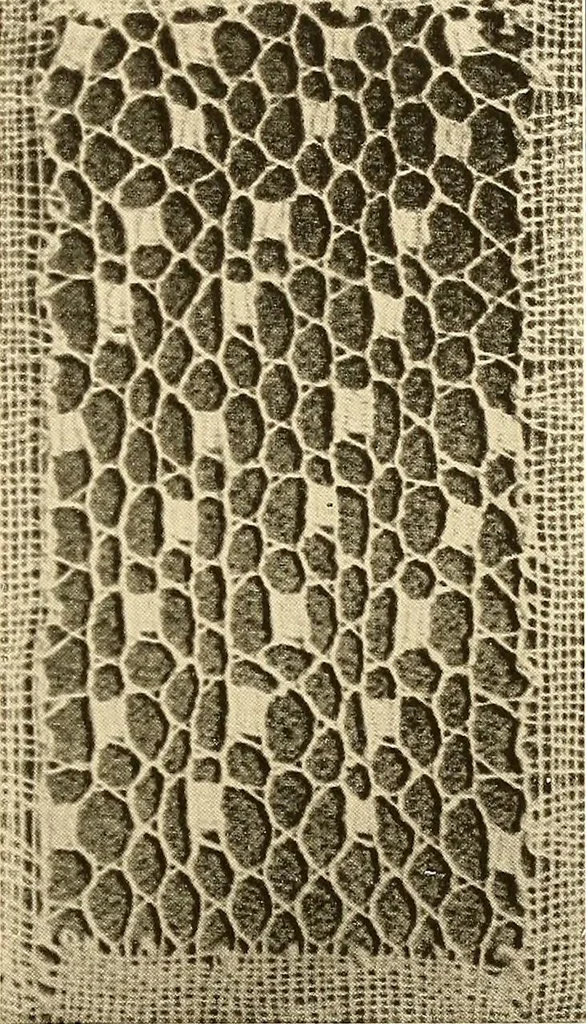 An illustration from A lace guide for makers and collectors; with a bibliography and five-language nomenclature, profusely illus. with halftone plates and key designs, 1920, leaf 230