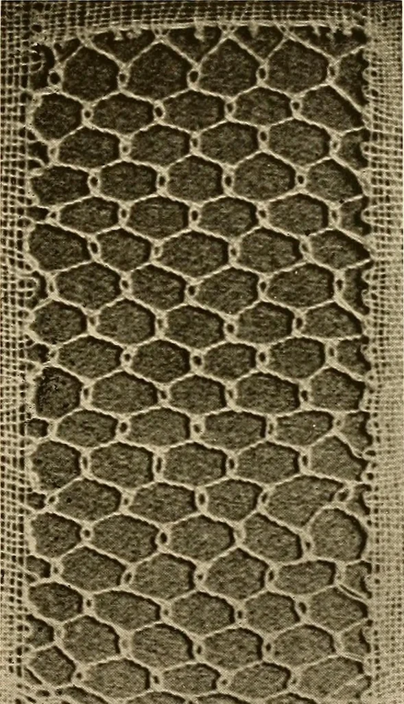 An illustration from A lace guide for makers and collectors; with a bibliography and five-language nomenclature, profusely illus. with halftone plates and key designs, 1920, leaf 232