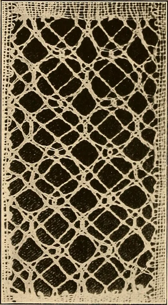 An illustration from A lace guide for makers and collectors; with a bibliography and five-language nomenclature, profusely illus. with halftone plates and key designs, 1920, leaf 233