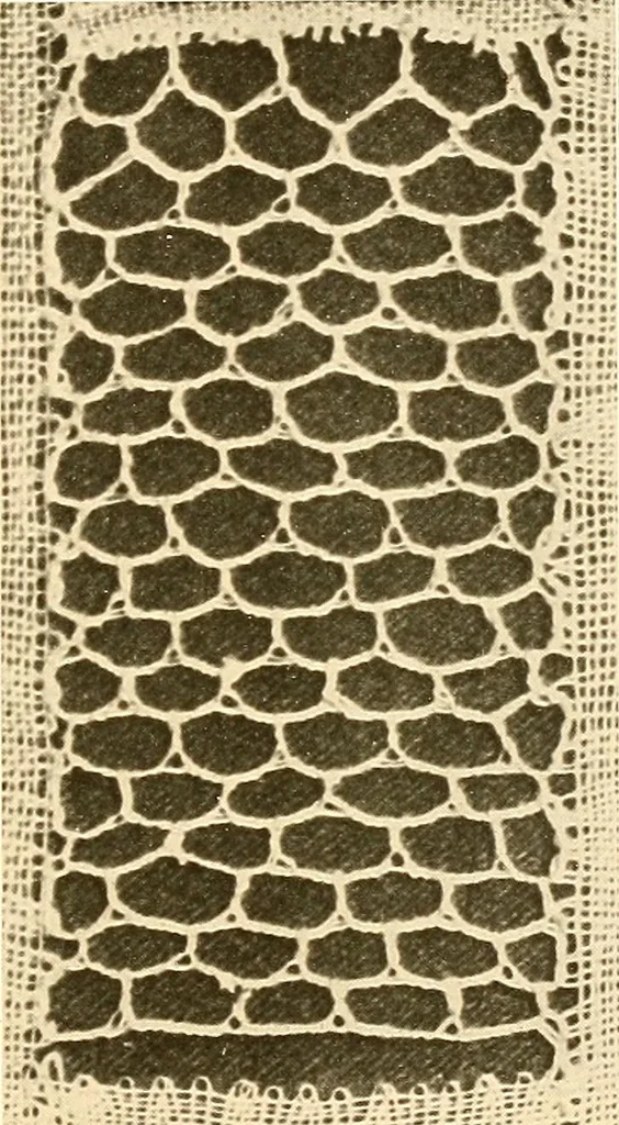 An illustration from A lace guide for makers and collectors; with a bibliography and five-language nomenclature, profusely illus. with halftone plates and key designs, 1920, leaf 234