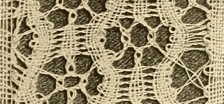 An illustration from A lace guide for makers and collectors; with a bibliography and five-language nomenclature, profusely illus. with halftone plates and key designs, 1920, leaf 238