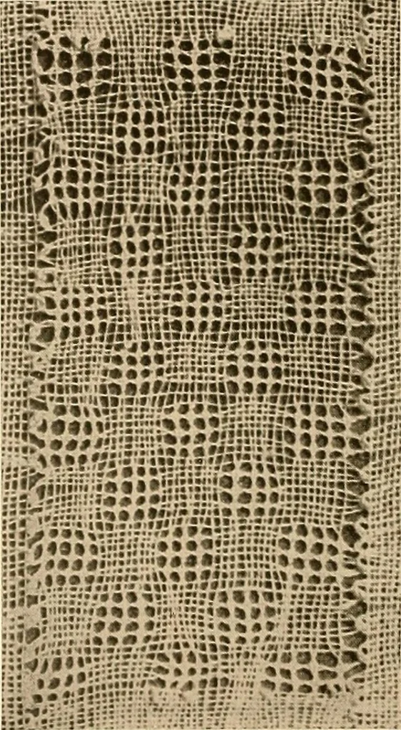 An illustration from A lace guide for makers and collectors; with a bibliography and five-language nomenclature, profusely illus. with halftone plates and key designs, 1920, leaf 241